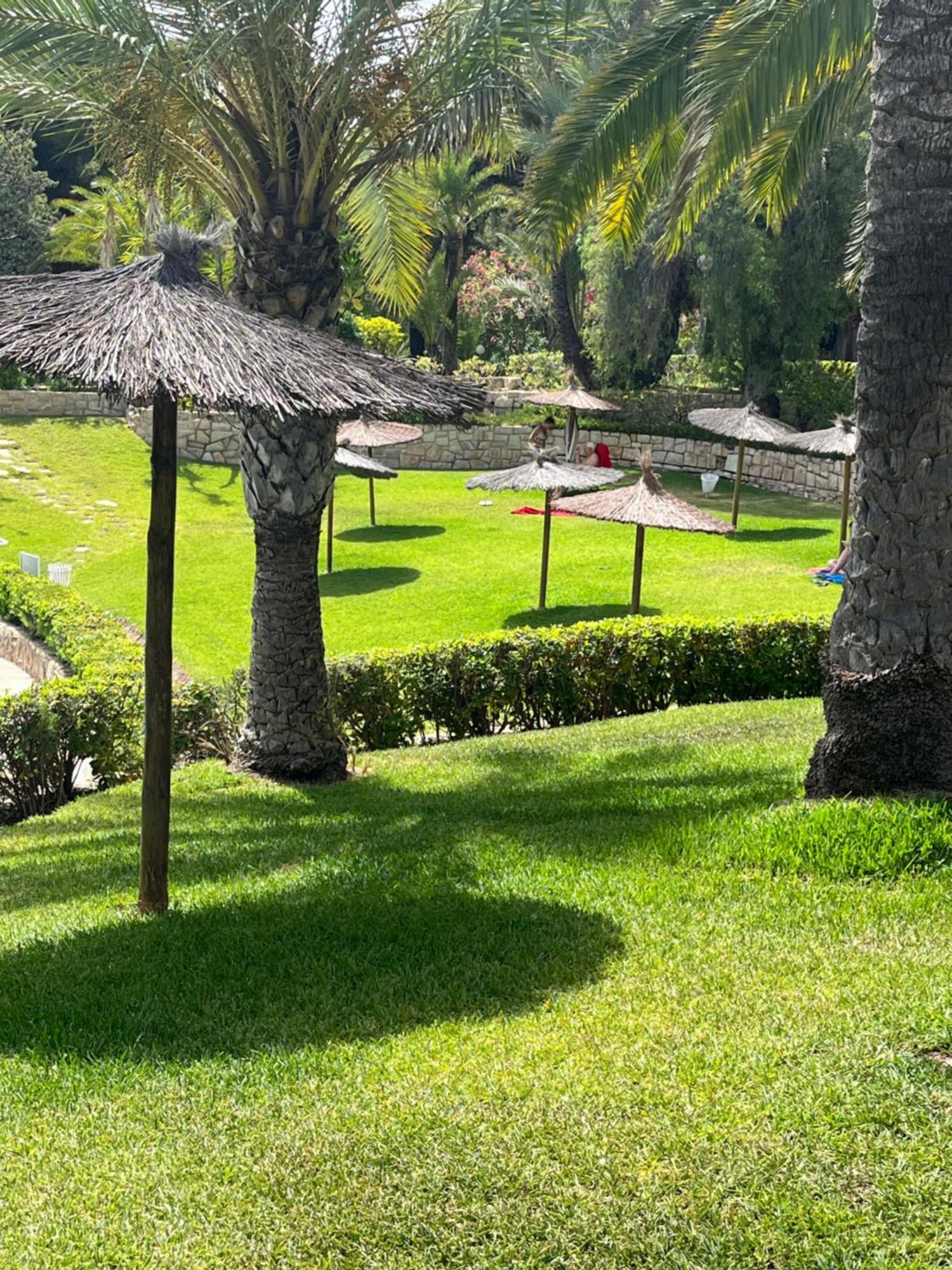 Parque La Chicharra Near Alicante And Beach Экстерьер фото